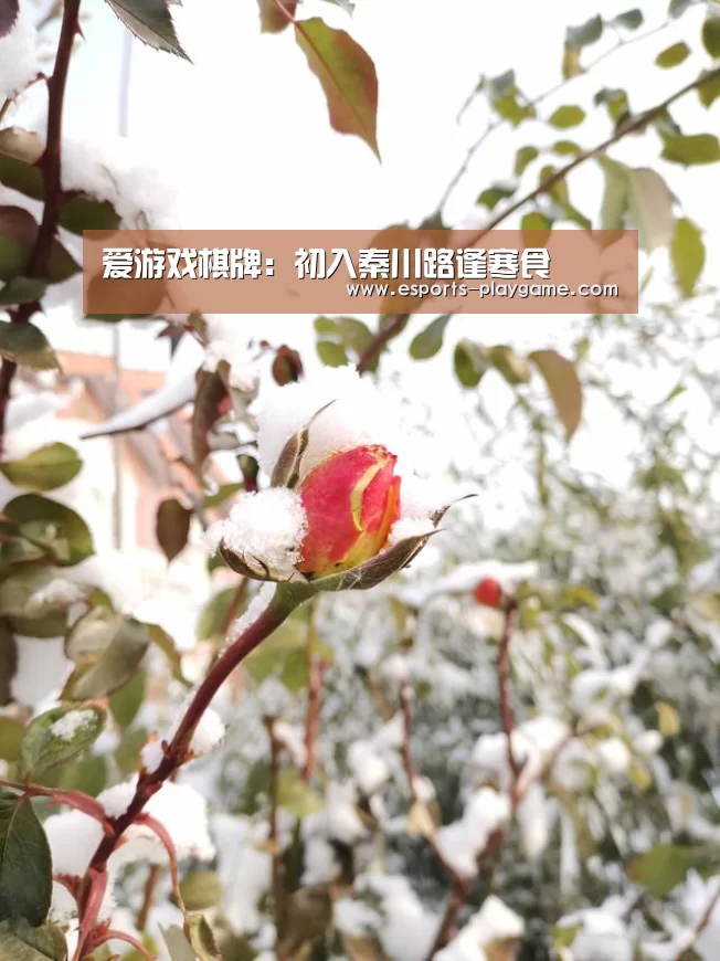 爱游戏棋牌:初入秦川路逢寒食(图3) 爱游戏棋牌