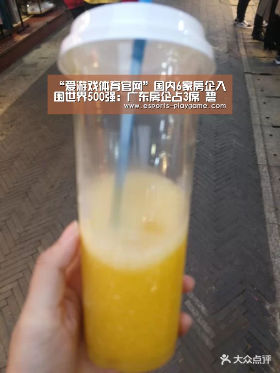 “爱游戏体育官网”国内6家房企入围世界500强:广东房企占3席 碧桂园首次入榜(图1) 爱游戏体育官网
