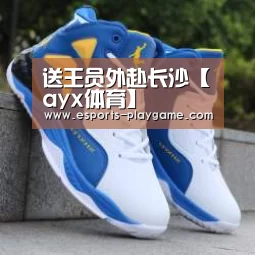 送王员外赴长沙【ayx体育】(图3) 爱游戏体育官网