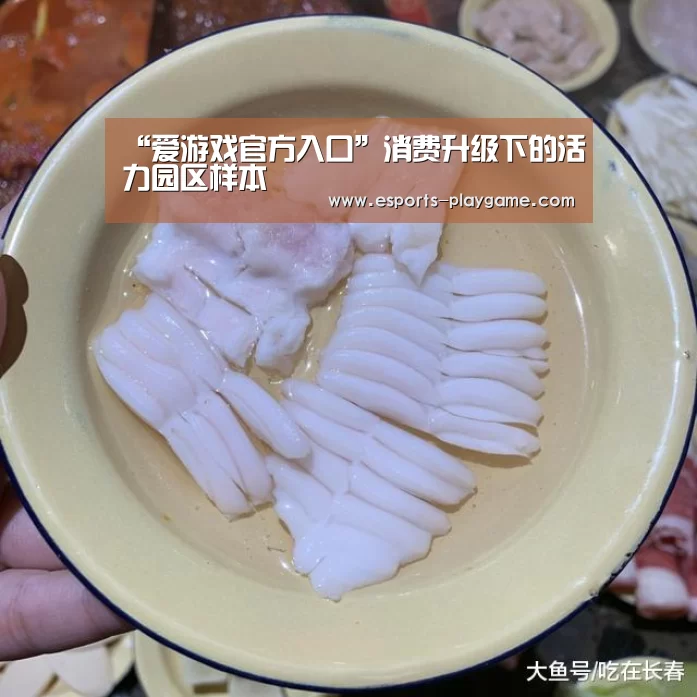 “爱游戏官方入口”消费升级下的活力园区样本(图2) 爱游戏体育官网
